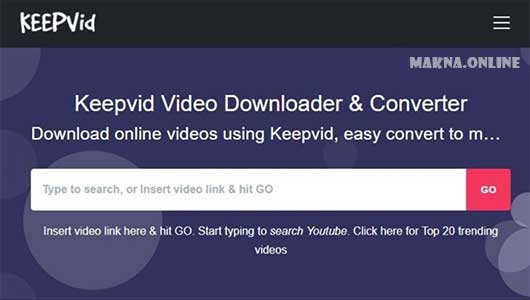 KeepVid KeepVid